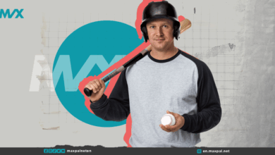 Baseball Explained: How the Game Works and Where It's Most Popular