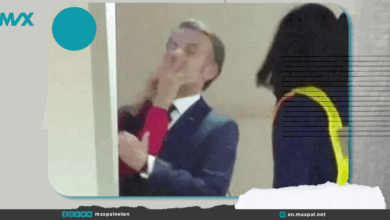 Brigitte Macron Slap Causes Stir