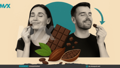 Dark Chocolate Benefits You Need to Know