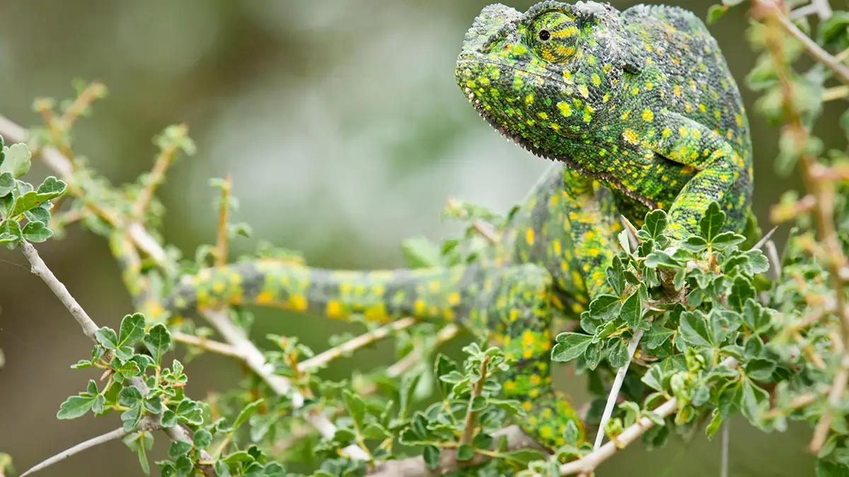 What Are Some Surprising School Myths We All Believed?
