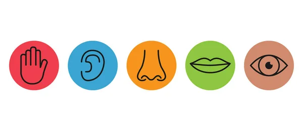 What Are Some Surprising School Myths We All Believed?