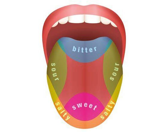 What Are Some Surprising School Myths We All Believed?