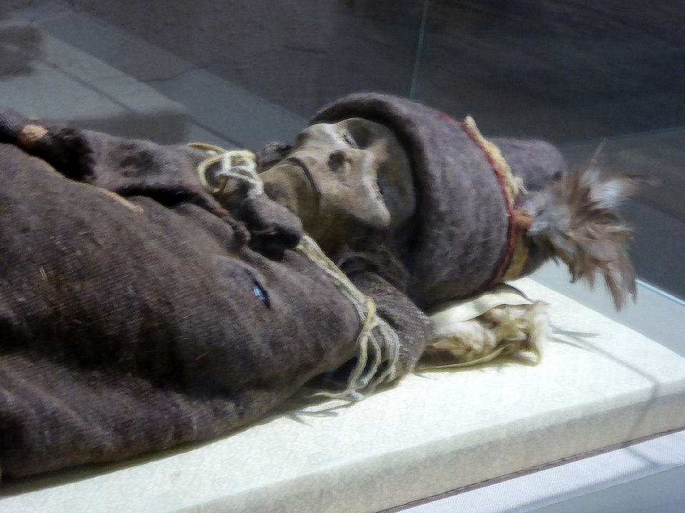 Tarim Mummies Unsolved Mysteries That Still Defy Scientific Explanation