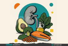 Top Foods for Kidney Health: 6 Kidney-Friendly Choices Backed by Science
