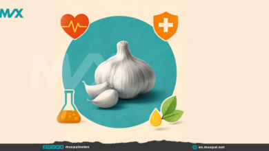 Benefits of Garlic for Health, Skin, and Hair
