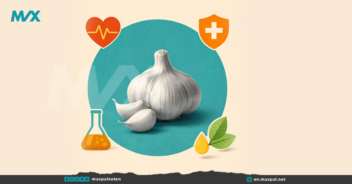 Benefits of Garlic for Health, Skin, and Hair