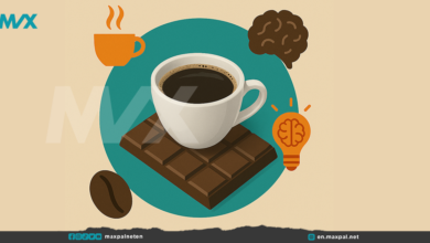 Coffee and Dark Chocolate for Brain Health: Science Behind Your Favorite Treats