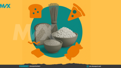 Signs You’re Eating Too Many Carbs