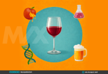 How Alcohol Metabolism May Have Helped Early Humans Survive