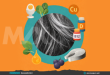 Foods to Prevent Gray Hair: 5 Science-Backed Picks