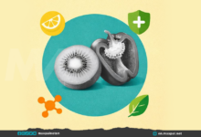 Foods High in Vitamin C: Best Food Sources Beyond Oranges