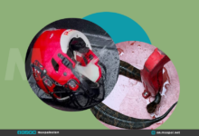 Snake in Football Helmet Worn for Nearly an Hour