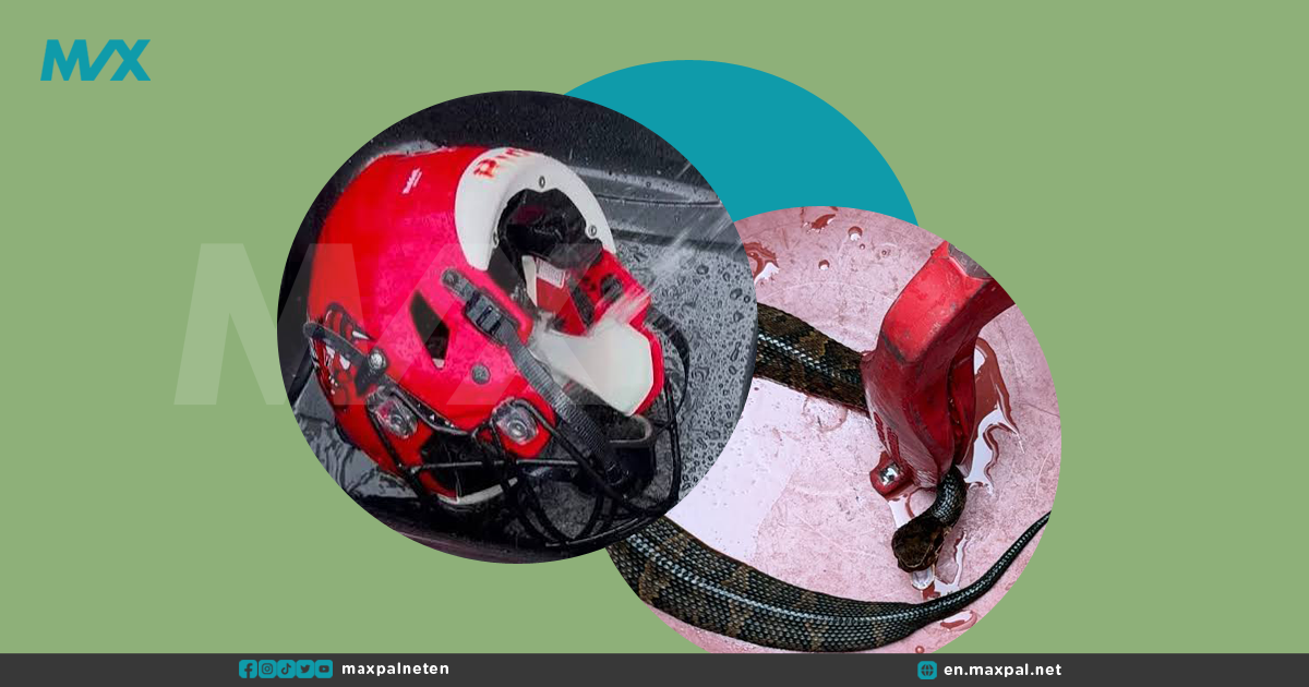 Snake in Football Helmet Worn for Nearly an Hour