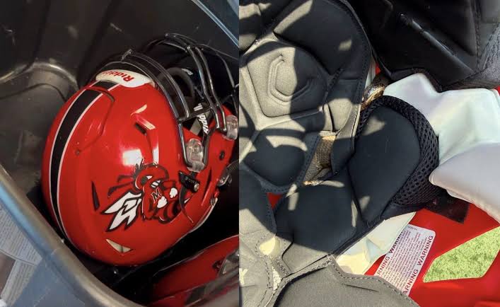 Snake in Football Helmet Worn for Nearly an Hour Snake in Football Helmet Worn for Nearly an Hour